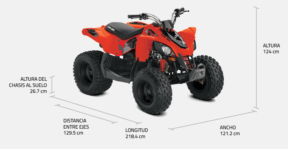 CAN-AM DS 90